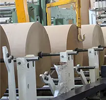 Papel e Celulose img