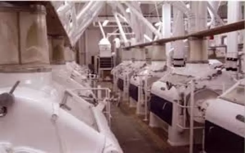 correia-ideal-para-seu-banco-de-cilindros-moinho-img