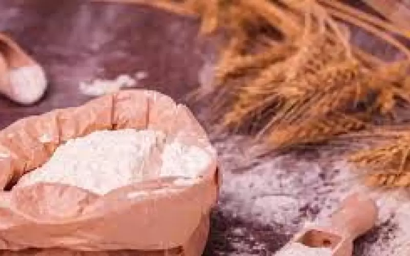 correias-para-moinhos-uma-visao-geral-do-processo-de-laminacao-de-graos-img