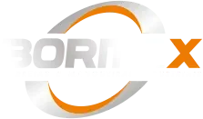 Logo Bormax
