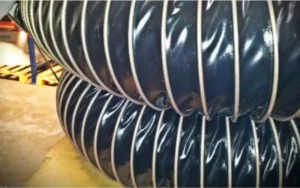 conhecendo-as-mangueiras-especiais-img