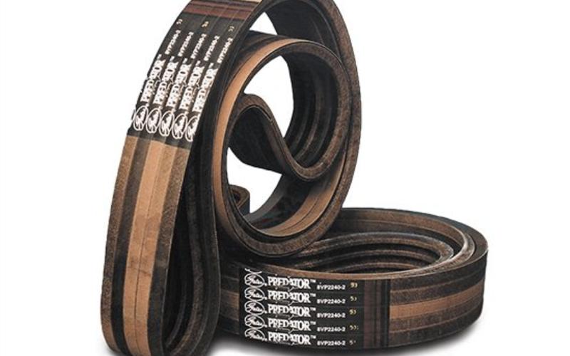 Correias Gates Predator-img-mdf