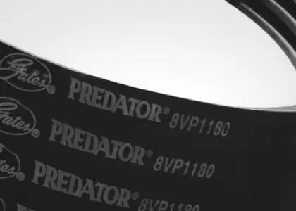 Substituição por Correia Gates Powerband Predator-thumb